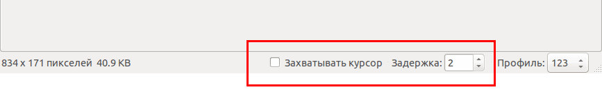 Выбрать время задержки перед снимком экрана