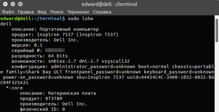 Выполнение команды lshw в терминале